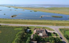 Deichhus Nordseeliebe Direkt Am Deich - Nordsee - Dagebuell - Am Vogelreservat